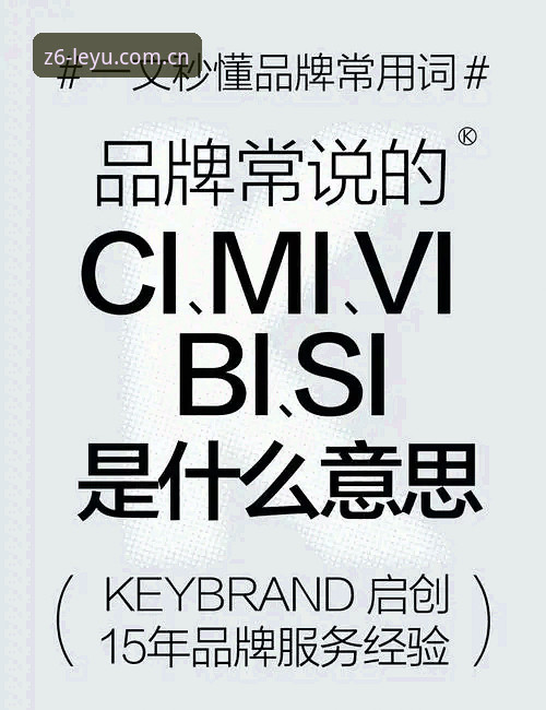 原创品牌集结地同类APP替代站 揭秘原创品牌集结地同类APP替代站:CN乐鱼官网Z6·年度创享版真实测评